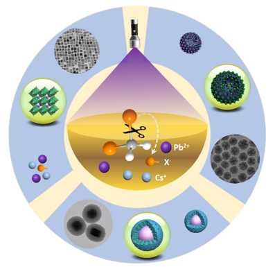 福建物構所陳學元團隊在光誘導合成鈣鈦礦納米晶及其複合結構研究中獲