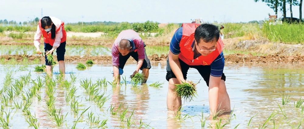 紧密结合组织工作实际贯彻落实好习近平总书记“七一”重要讲话精神