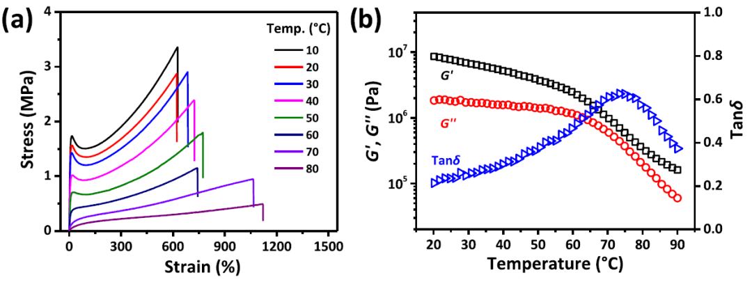 以聚电解质/表面活性剂复合物为交联点的类塑料超分子水凝胶