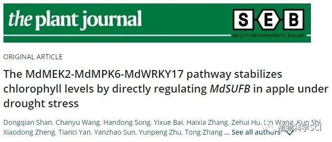 中国农业大学孔瑾教授团队研究揭示苹果叶绿素代谢的转录调控机制