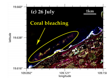 海南西北部珊瑚白化海水表面温度的遥感研究2.png