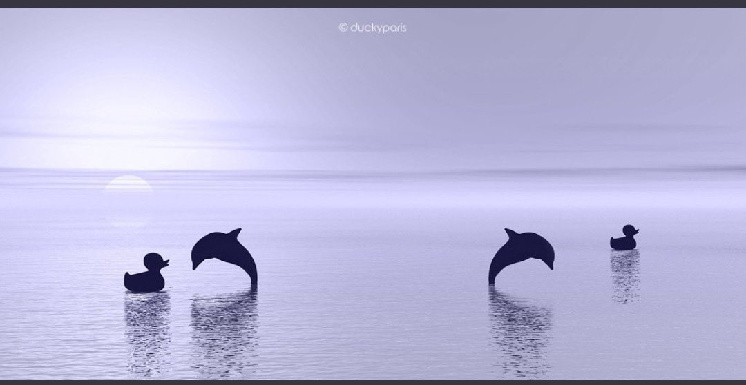 【绿讯】世界海豚日，让我们共护这一片碧海蓝天1.png