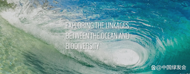 海洋与生物多样性是什么关系？联合国《生物多样性公约》的科普贴来了1.png