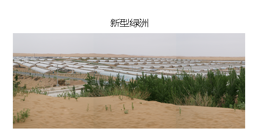 第三篇：步入实践的沙产业（1995～2011）8.png