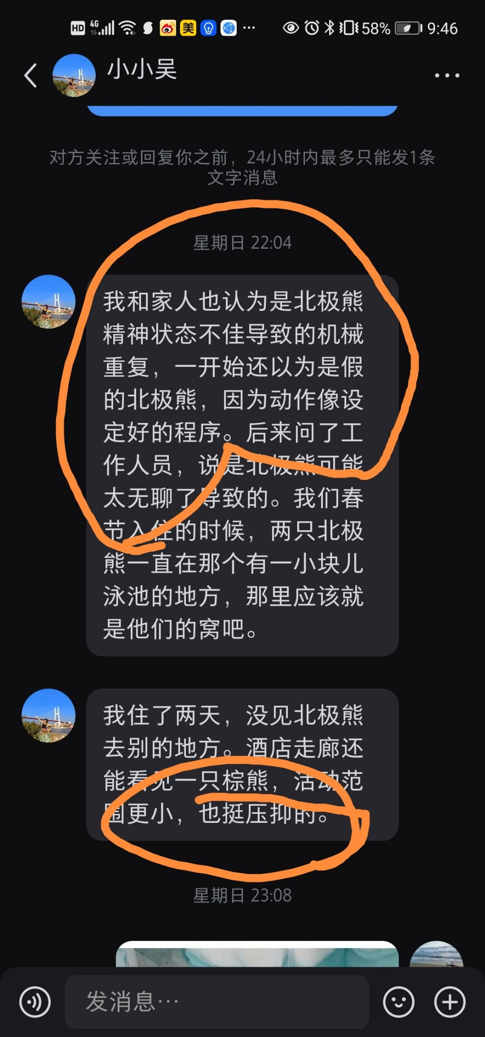 网友来信反映哈尔滨北极熊酒店内北极熊生存状况2.png 网友来信反映哈尔滨北极熊酒店内北极熊生存状况2.png