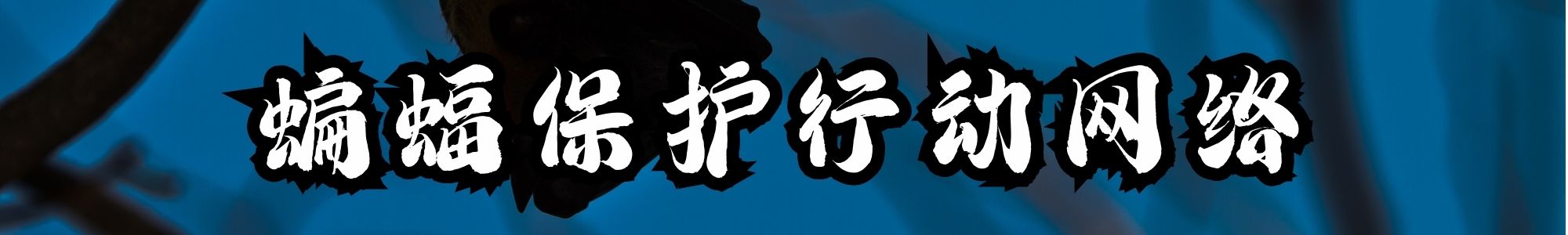 2023年版“三有”名录收录8种蝙蝠2.jpg