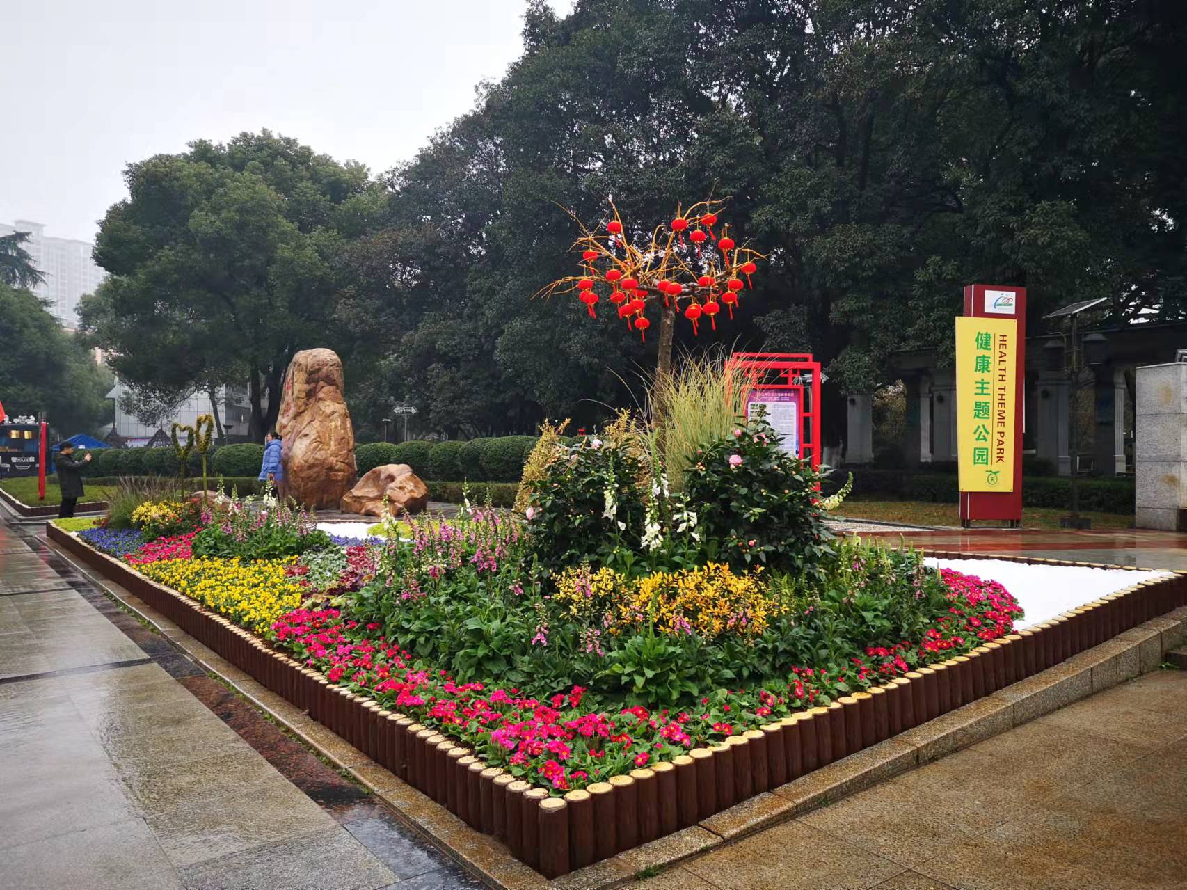 邵阳市风景园林学会会员积极参与春节花展活动